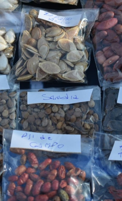 WhatsApp Image 2024-09-07 at 11.09.38